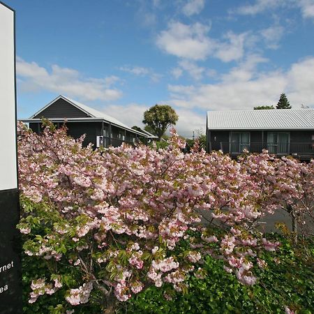 16 Northgate Motor Lodge New Plymouth Exteriér fotografie